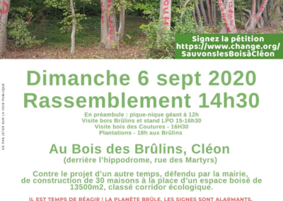 Le bois des Brûlins