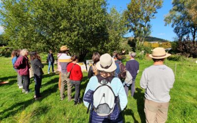 Des sorties nature en plein cœur de la métropole, au parc de Repainville