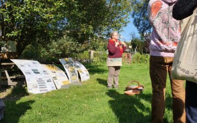 Le nouveau programme des balades nature à Repainville est arrivé !