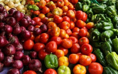 Suivi du Projet alimentaire territorial (PAT) métropolitain