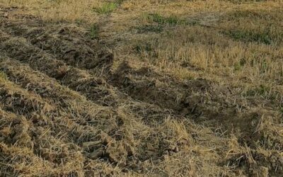 Suivi des sols de la métropole