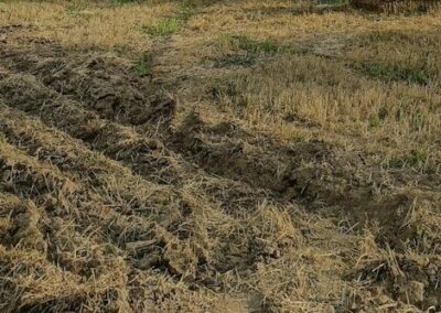 Suivi des sols de la métropole