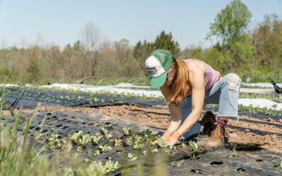 Comment mieux protéger les terres nourricières de la métropole ?